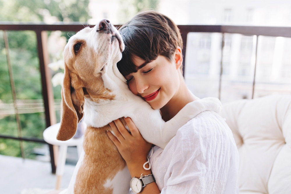 Plano de contingência para manutenção de soluções em clínicas veterinárias